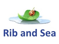 rib and sea